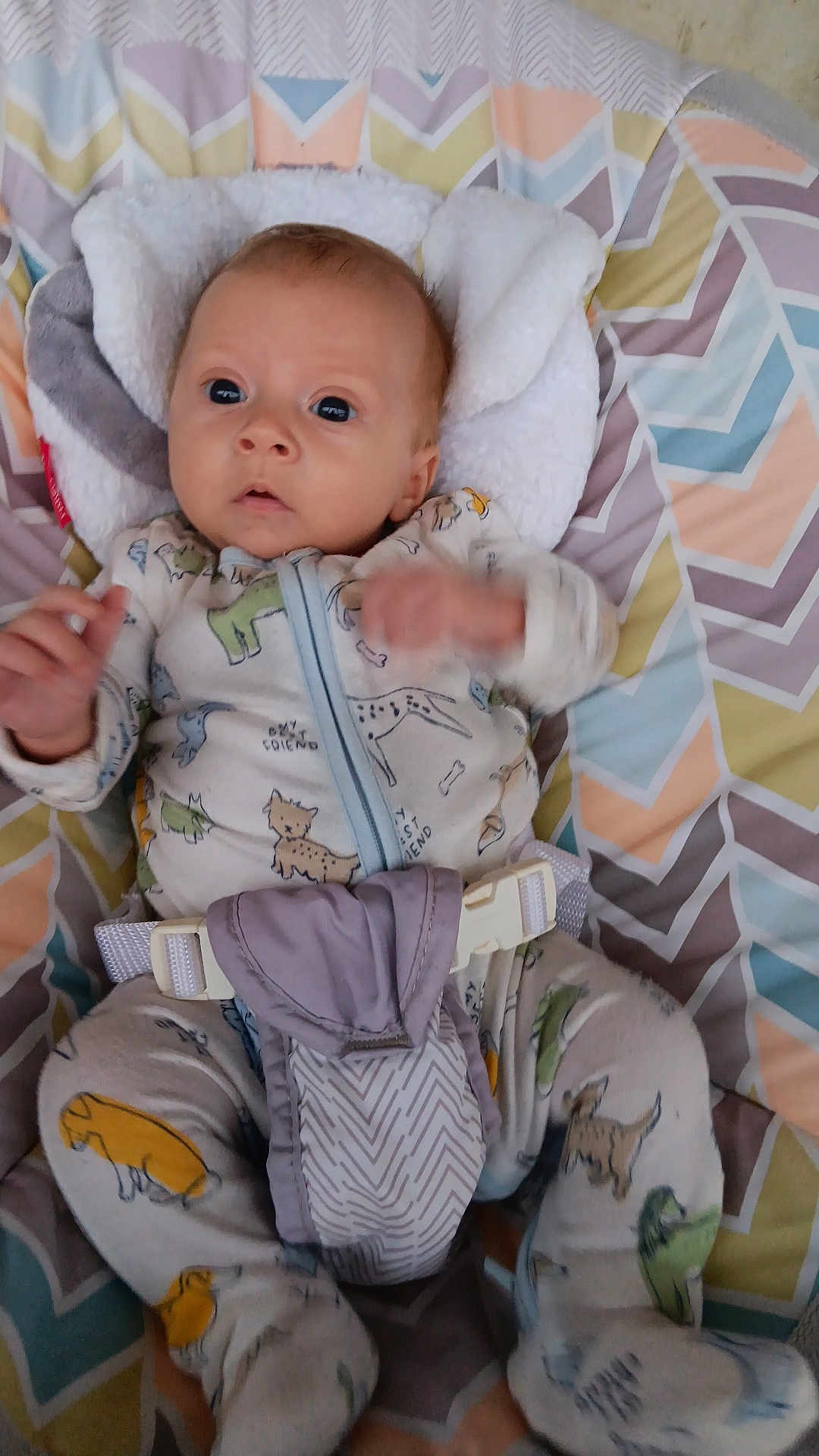 Kieran is registered to the contest to win money with this photo: baby, infant, pajamas, animal_print, seat, cushion, pattern, geometric, child, face, hands, clothing, indoor, comfort, cute, young, expression, portrait, resting, fabric