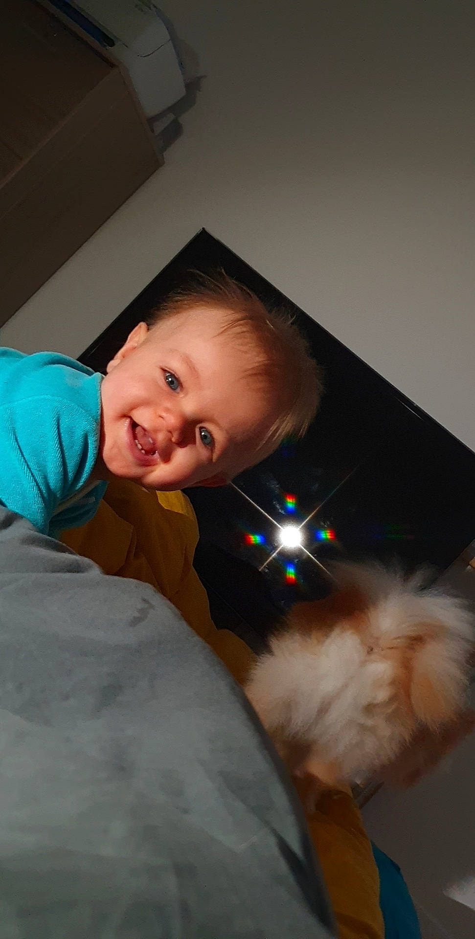 Aaron a rejoint le concours — aidez-le/la à gagner de superbes lots ! baby, baby_toddler_clothing, cat, child, comfort, companion_dog, felidae, flash_photography, formal_wear, fun, fur, happy, iris, nose, person, room, sitting, smile, t_shirt, toddler