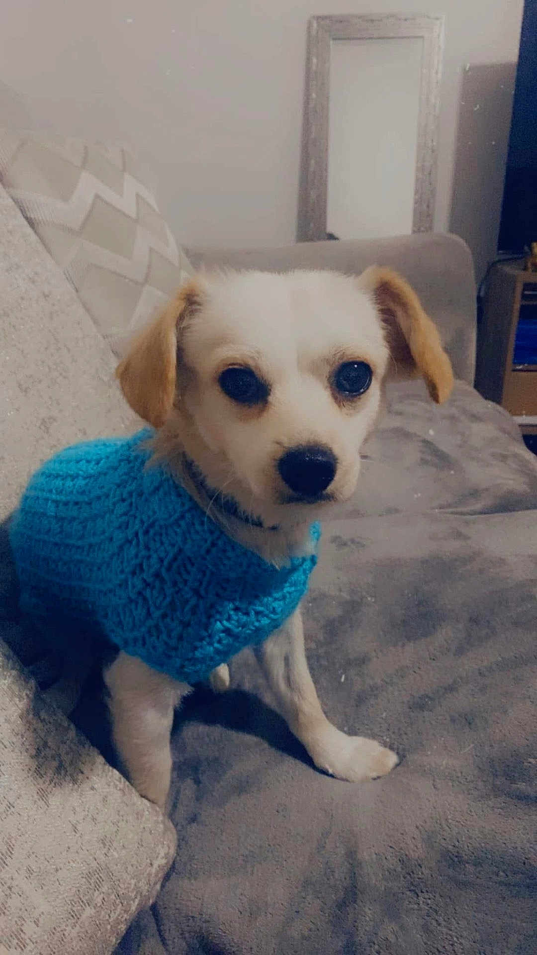 Panchito