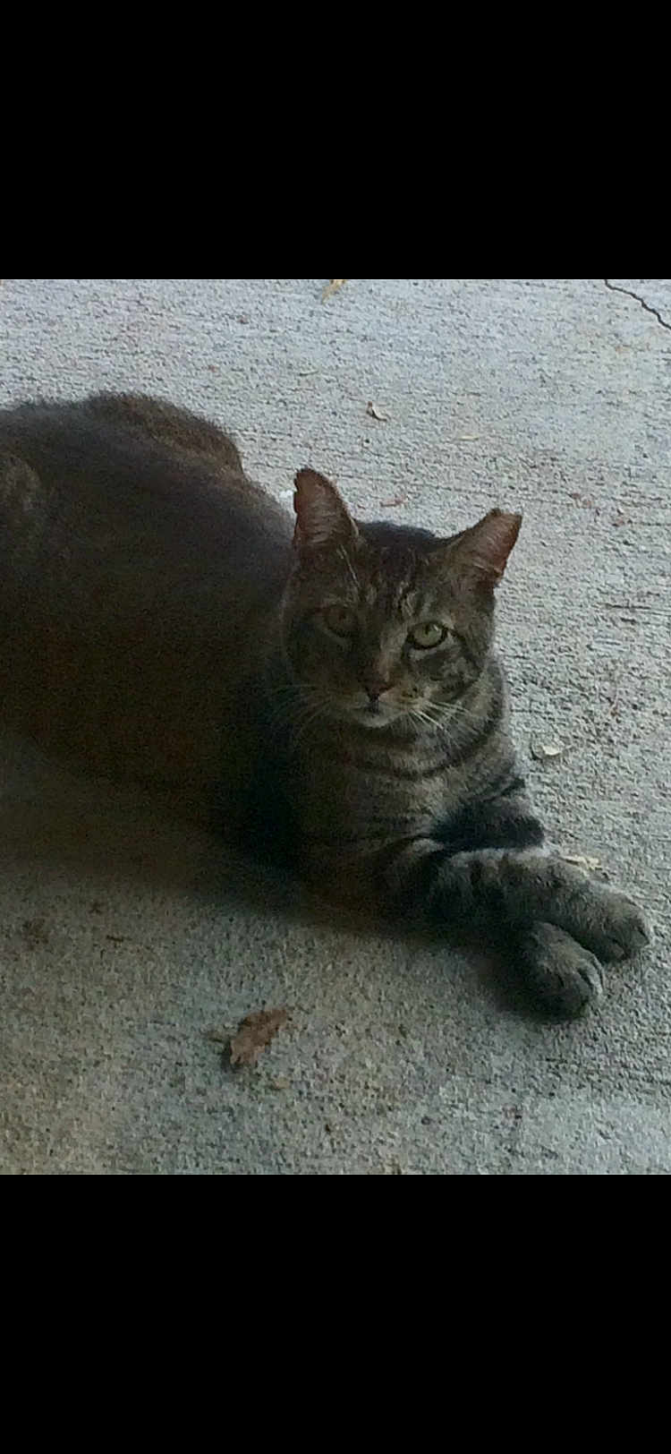 Tom