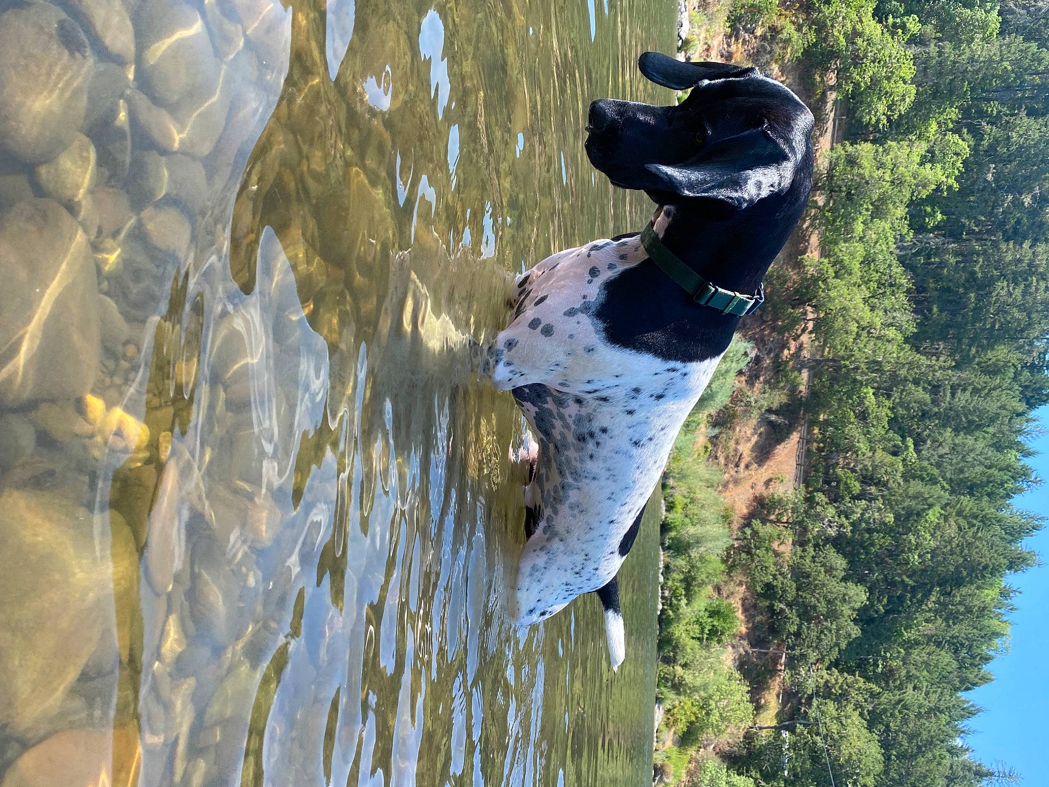 Walter joined the competition — help win amazing prizes! adventure, beak, biome, grass, hat, lake, leaf, leisure, organism, plant, reflection, rock, sky, tree, trunk, vegetation, water, watercourse, winter, wood