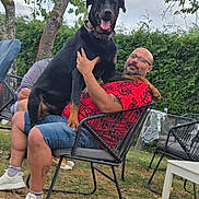 Venom a rejoint le concours — aidez-le/la à gagner de superbes lots ! black_dog, chair, daytime, dog, fence, footwear, garden, glasses, grass, happy, man, nature, outdoor, pet, red_shirt, relaxing, shorts, smile, tattoo, tree