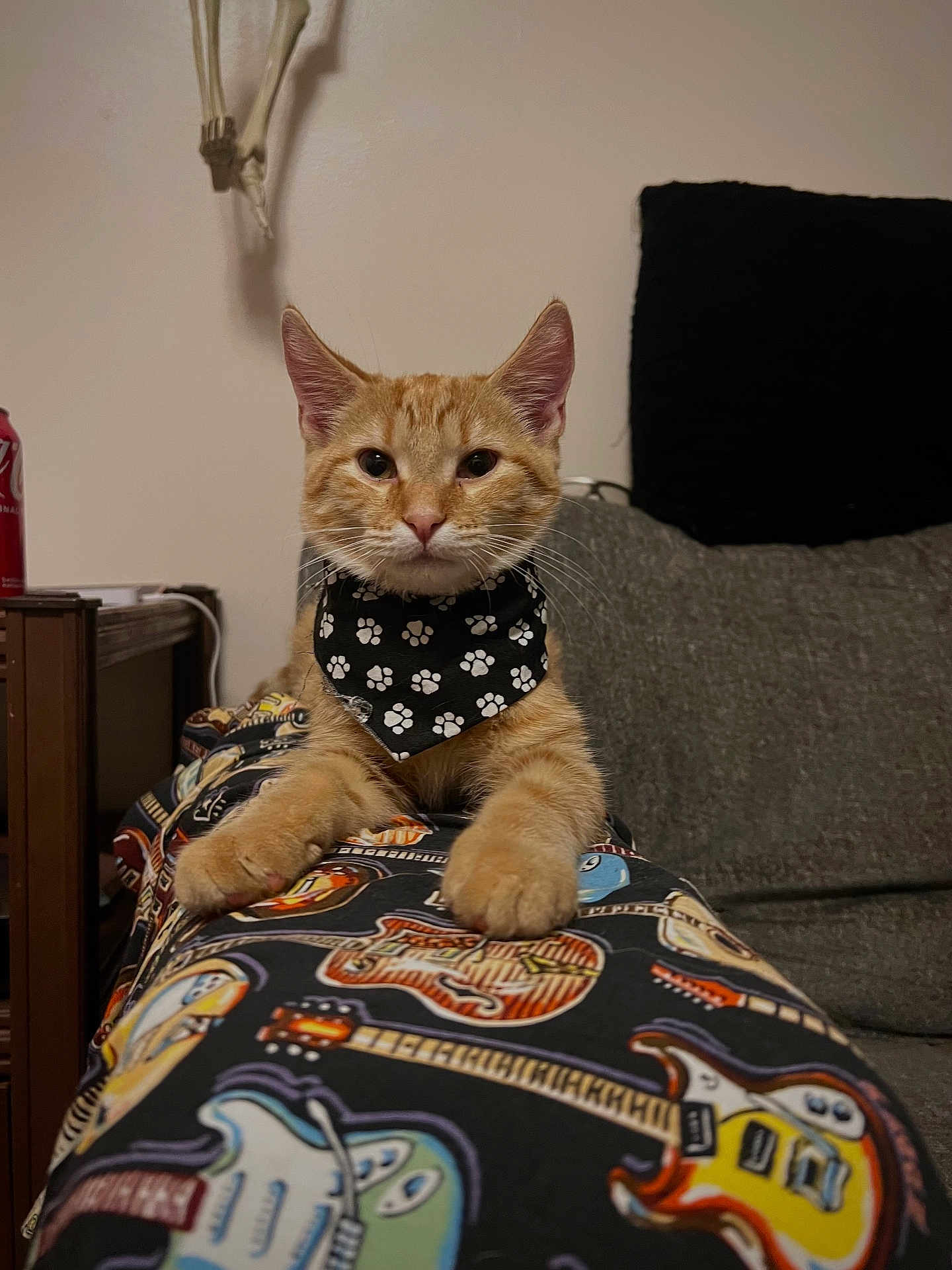 Dexter