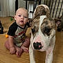 baby, child, dog, puppy, indoor, wooden_floor, sitting, curious, playful, animal, pet, furniture, chair, home, floor, young_child, portrait, mammal, domestic_animal, person
