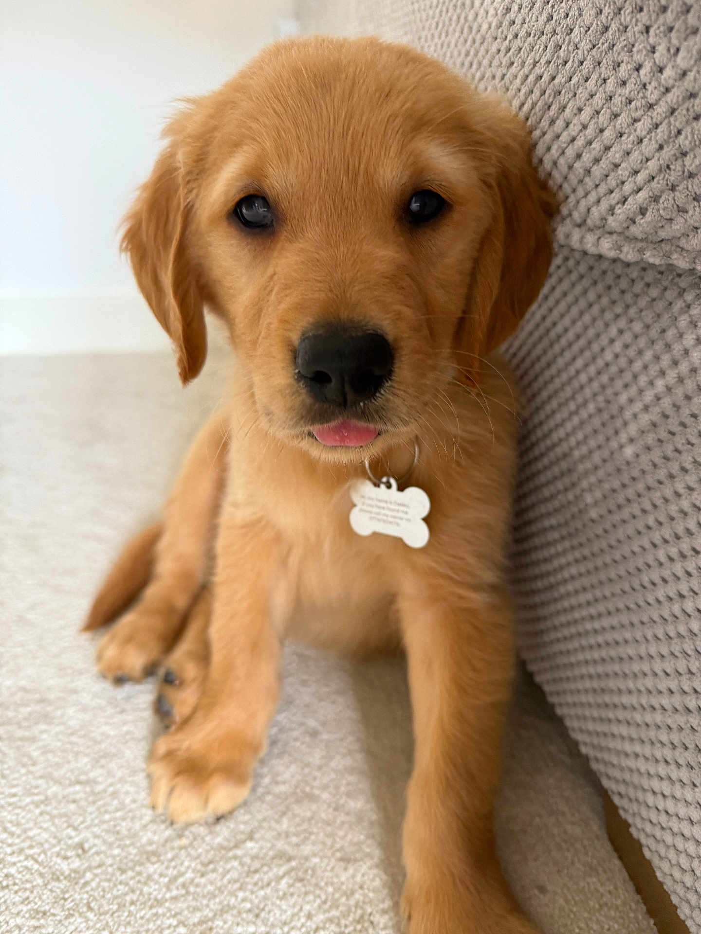 Oakley