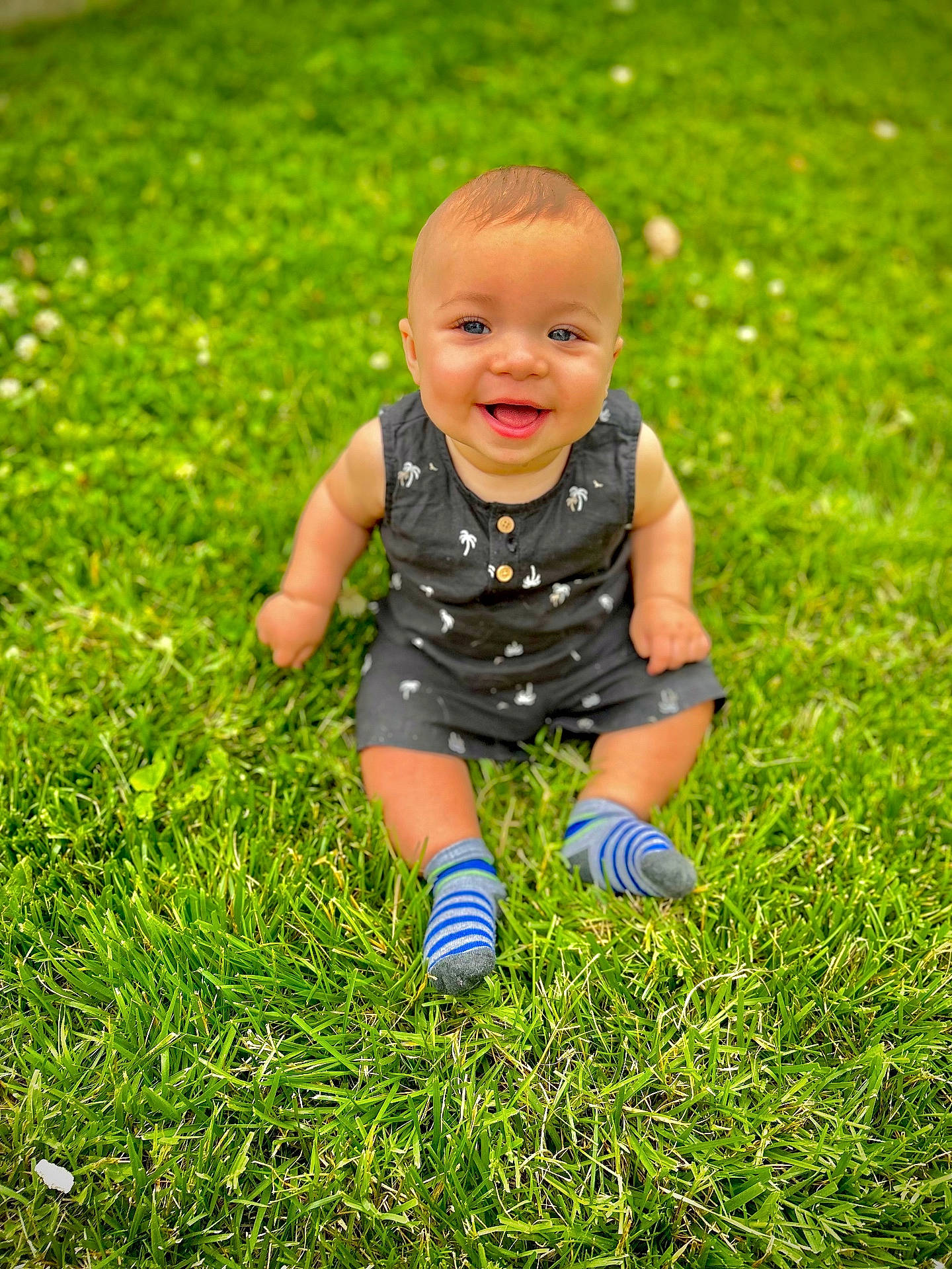 Malakai is registered to the contest to win money with this photo: baby, backyard, clothing, crawling, dress, face, grass, happy, head, hosiery, lawn, nature, outdoors, person, photography, plant, portrait, sitting, sock, yard