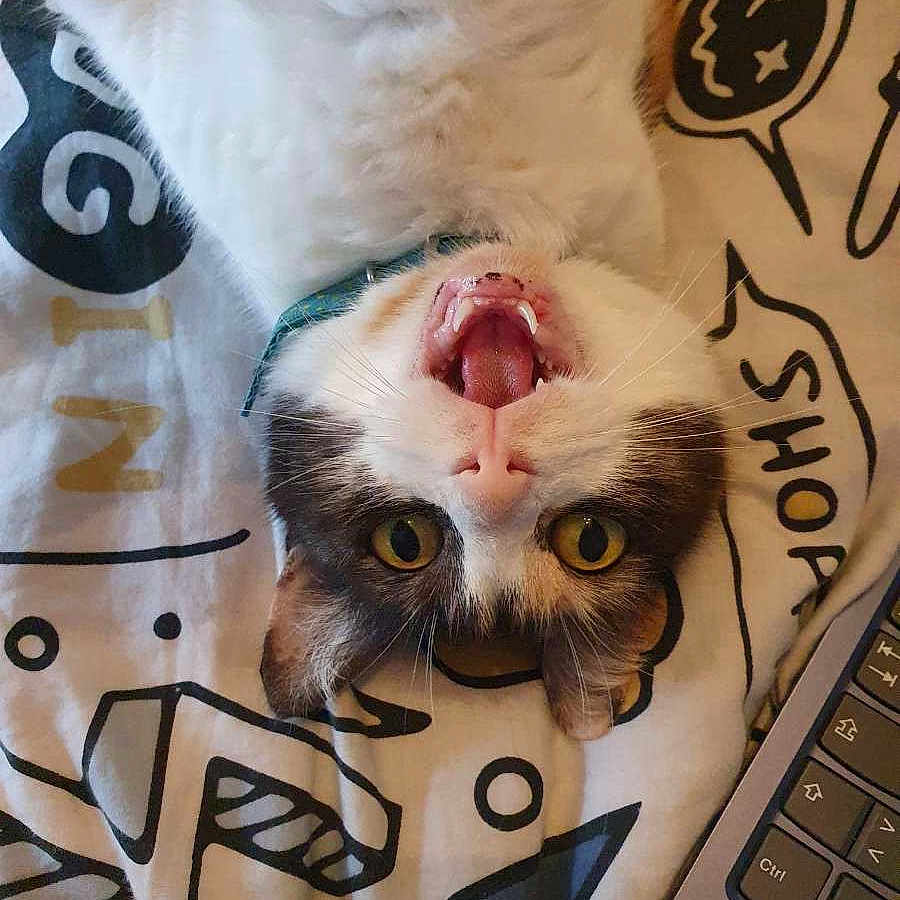 Lilith