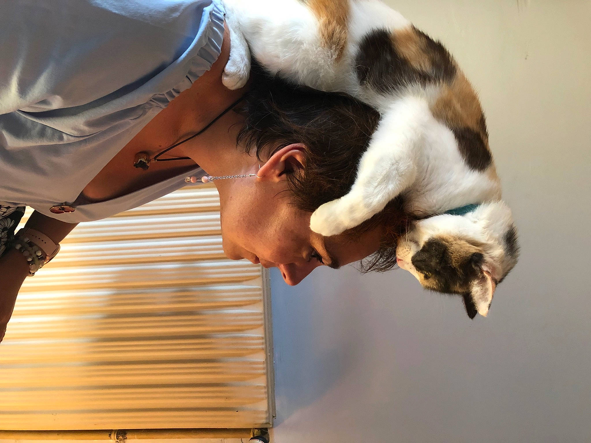 Lilith a rejoint le concours — aidez-le/la à gagner de superbes lots ! canidae, carnivore, cat, companion_dog, dog_breed, domestic_short_haired_cat, elbow, fawn, felidae, fur, gesture, paw, small_to_medium_sized_cats, snout, sporting_group, street_fashion, tail, vertebrate, whiskers, wood