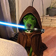 Nova is registered to the contest to win money with this photo: animal, blue_lightsaber, brown_robe, costume, cute, dog, fantasy, fiction, funny, green_dog, indoor, jedi_costume, lightsaber, pet, portrait, potted_plant, sitting, star_wars, stone_wall, wooden_floor