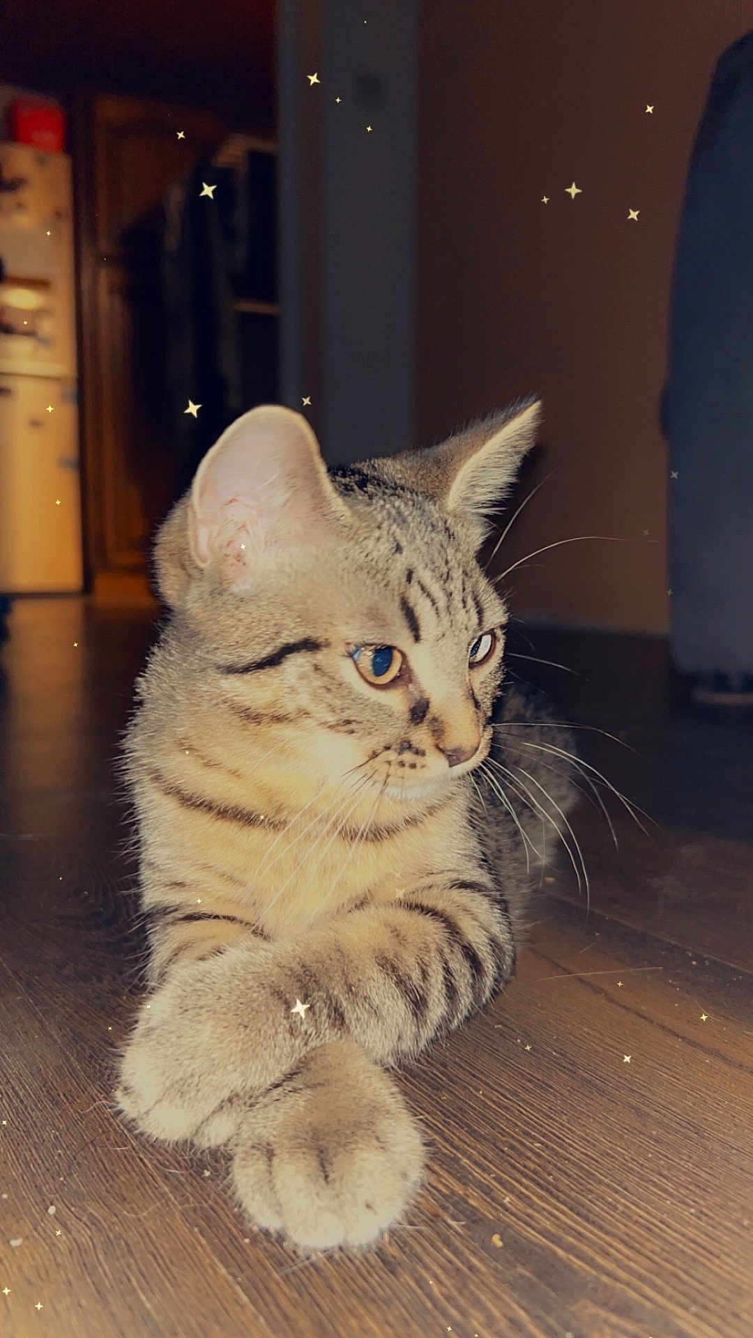 Simba