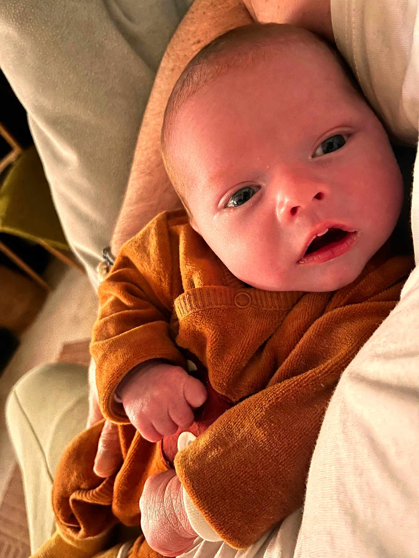 Nans a rejoint le concours — aidez-le/la à gagner de superbes lots ! baby, infant, child, face, hand, clothing, brown_outfit, close_up, skin, person, newborn, resting, expression, indoor, soft_lighting, holding, comfort, cute, portrait, human