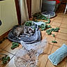 dog, pet, sleeping, lying_down, dog_bed, shredded_stuffing, mess, indoors, home, tiled_floor, furniture, cushion, fabric, plastic, living_room, door, curtain, armchair, gray_dog, mischief