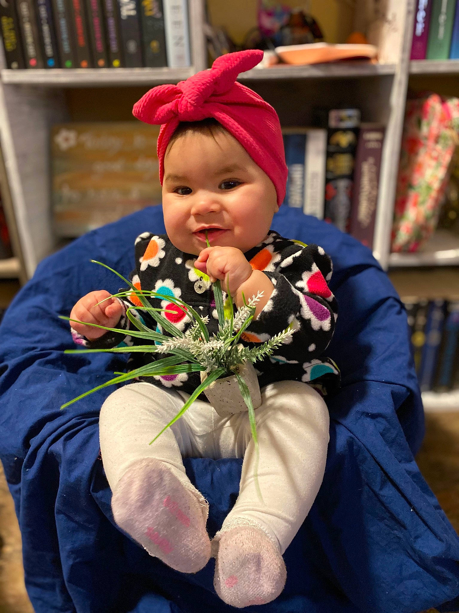 Camilla is registered to the contest to win money with this photo: baby, bookcase, cap, child, event, flower, flower_arranging, fun, happy, headwear, lap, lei, person, plant, product, publication, shelf, shelving, sitting, smile