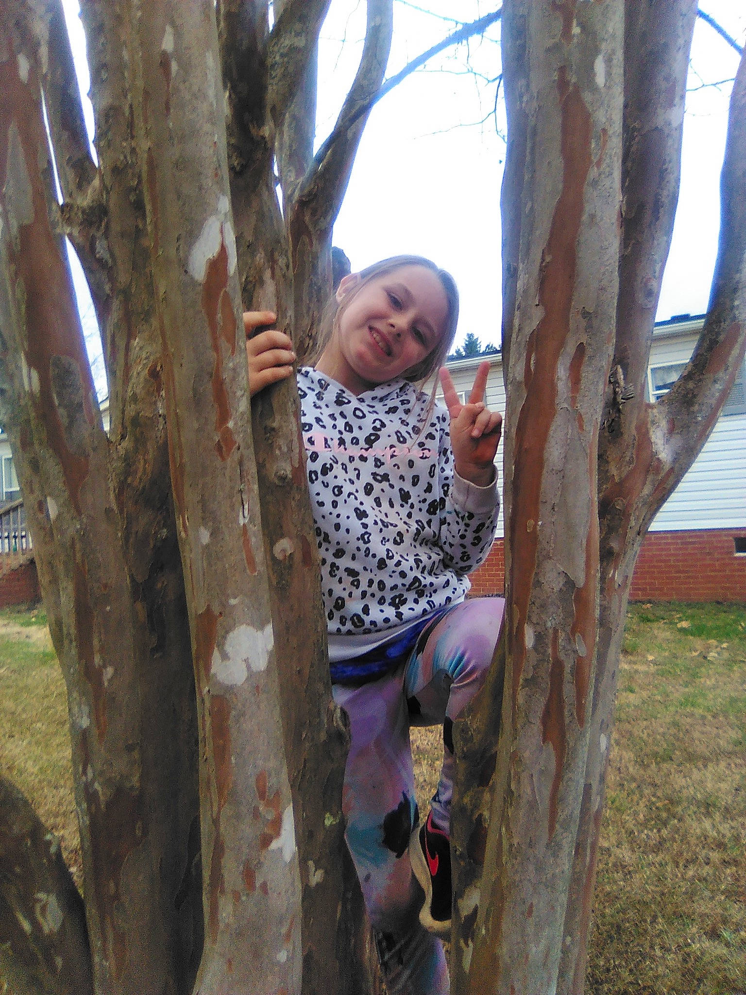 Payton is registered to the contest to win money with this photo: adventure, branch, electric_blue, forest, fun, grass, grove, joy, leisure, pattern, people_in_nature, person, plant, recreation, sky, smile, tree, trunk, twig, wood