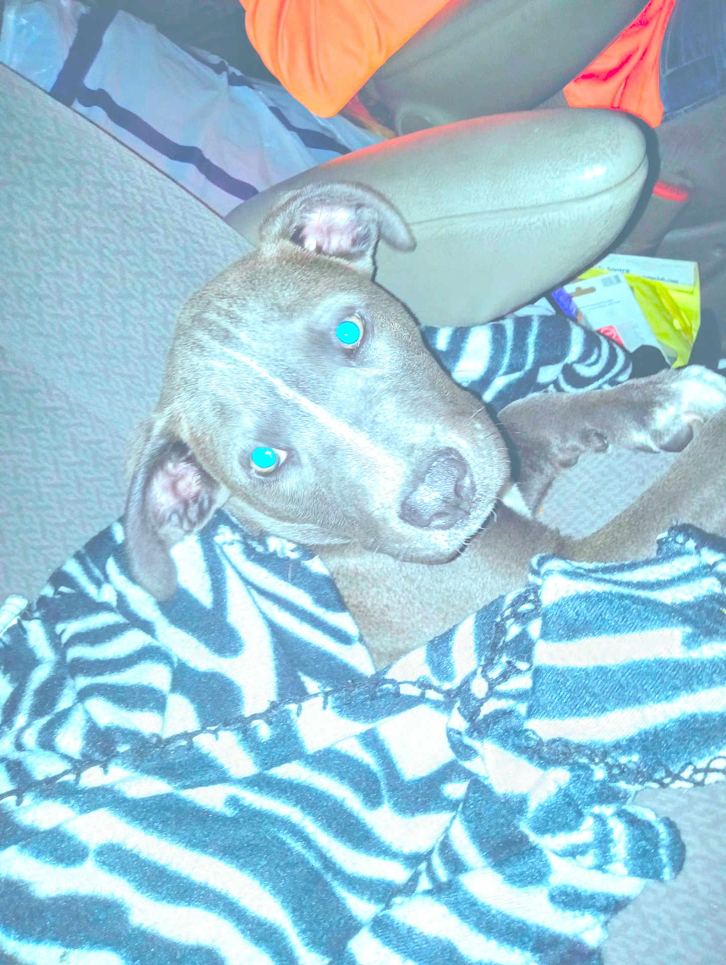 Roscoe