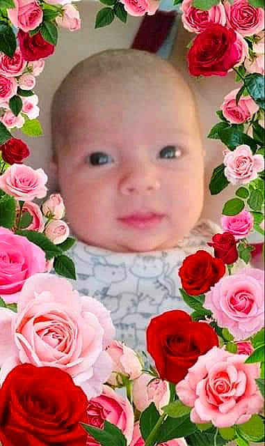 Kathleen joined the competition — help win amazing prizes! baby, cheek, child, cut_flowers, floral_design, floristry, flower, flower_arranging, garden_roses, love, person, petal, photomontage, pink, plant, rose, rose_family, rose_order, smile, toddler