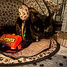 Mindy joined the competition — help win amazing prizes! animal, bell, black_cat, candy, carpet, cat, cat_bed, collar, cozy, fabric, fur, indoor, leopard_print, pet, pet_tent, play_area, reeses, sitting, toy, wide_eyes