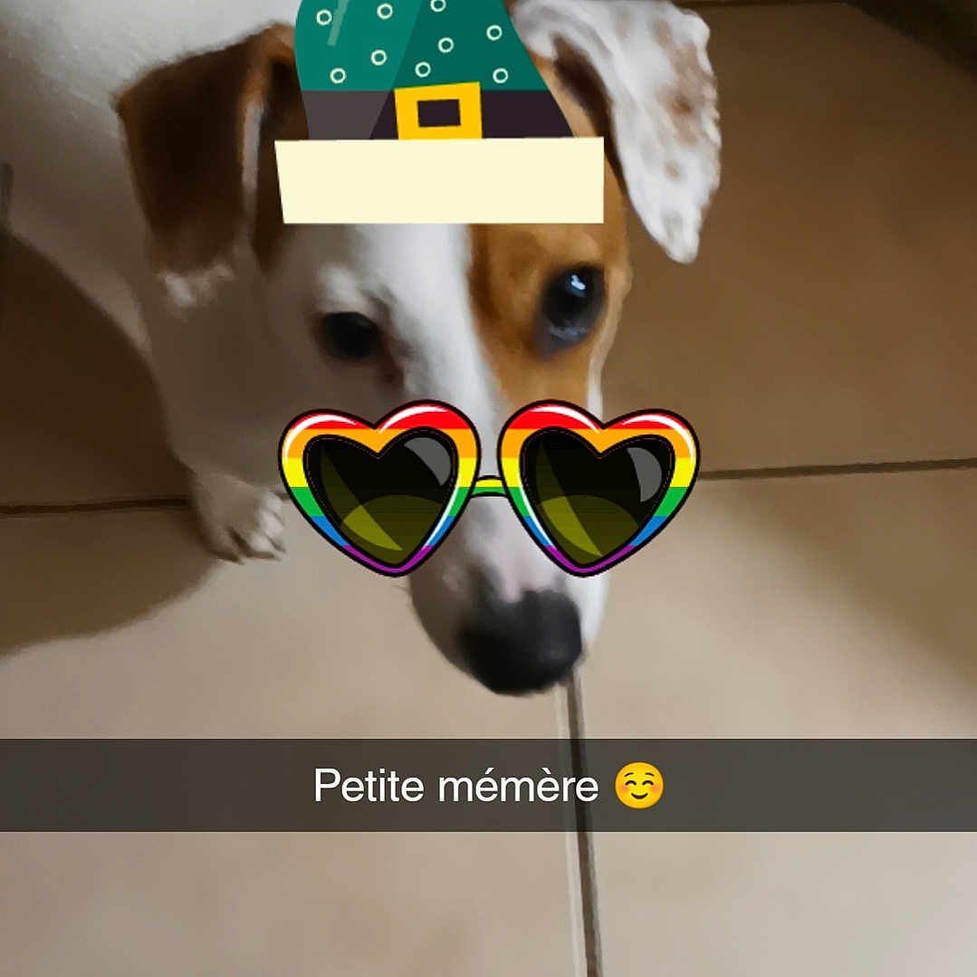 Stella