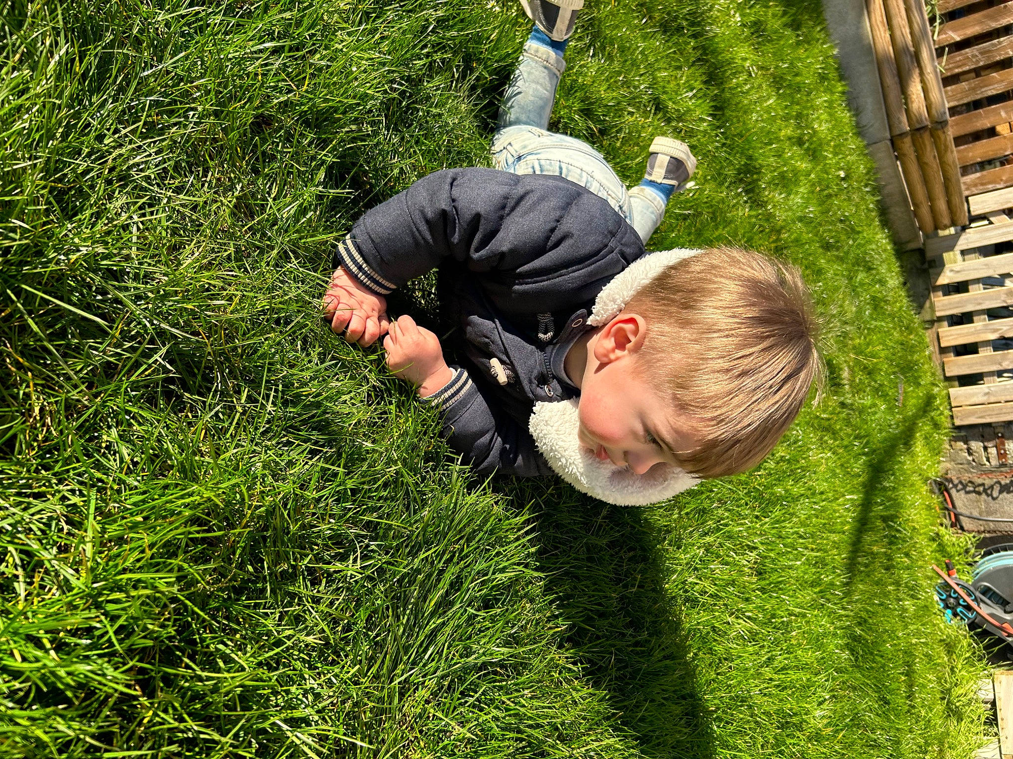 Eden participe au concours pour gagner de l'argent avec cette photo : botany, fun, garden, grass, grassland, groundcover, happy, landscape, lawn, leisure, meadow, people_in_nature, person, plant, recreation, shrub, soil, t_shirt, terrestrial_plant, tree