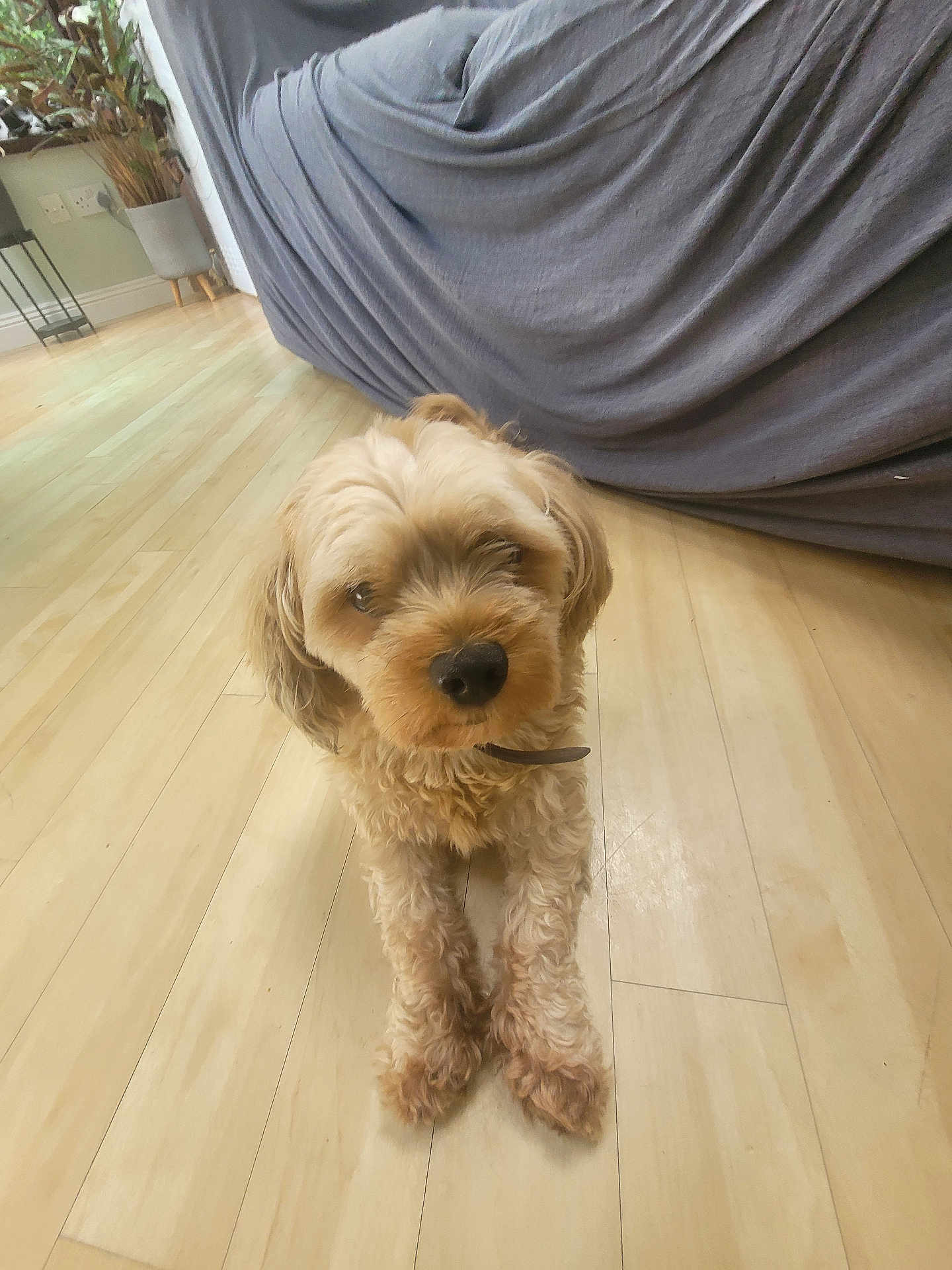Charlie