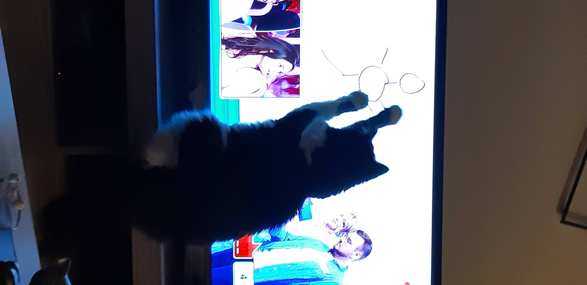 Chipy a rejoint le concours — aidez-le/la à gagner de superbes lots ! art, black_cat, carnivore, cat, display_device, electric_blue, felidae, font, fur, gadget, gesture, magenta, multimedia, rectangle, room, shadow, small_to_medium_sized_cats, tail, visual_arts, whiskers