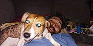 Stella is registered to the contest to win money with this photo: animal, beard, blanket, clothing, couch, dog, face, flash, furniture, hair, home, indoor, living_room, man, night, pet, playful, relaxing, smile, tattoo