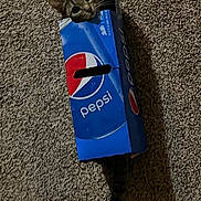 Miracle joined the competition — help win amazing prizes! cat, tabby, pepsi_box, carpet, tail, curious, indoor, pet, animal, playful, hiding, feline, striped_tail, box, brown, gray, cute, whiskers, ears, floor