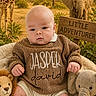 baby, infant, knitted_sweater, plush_toy, lion_toy, elephant_toy, giraffe, elephant, safari, savannah, outdoor, nature, sign, child, portrait, cute, adventure, animal, soft_blanket, young_child