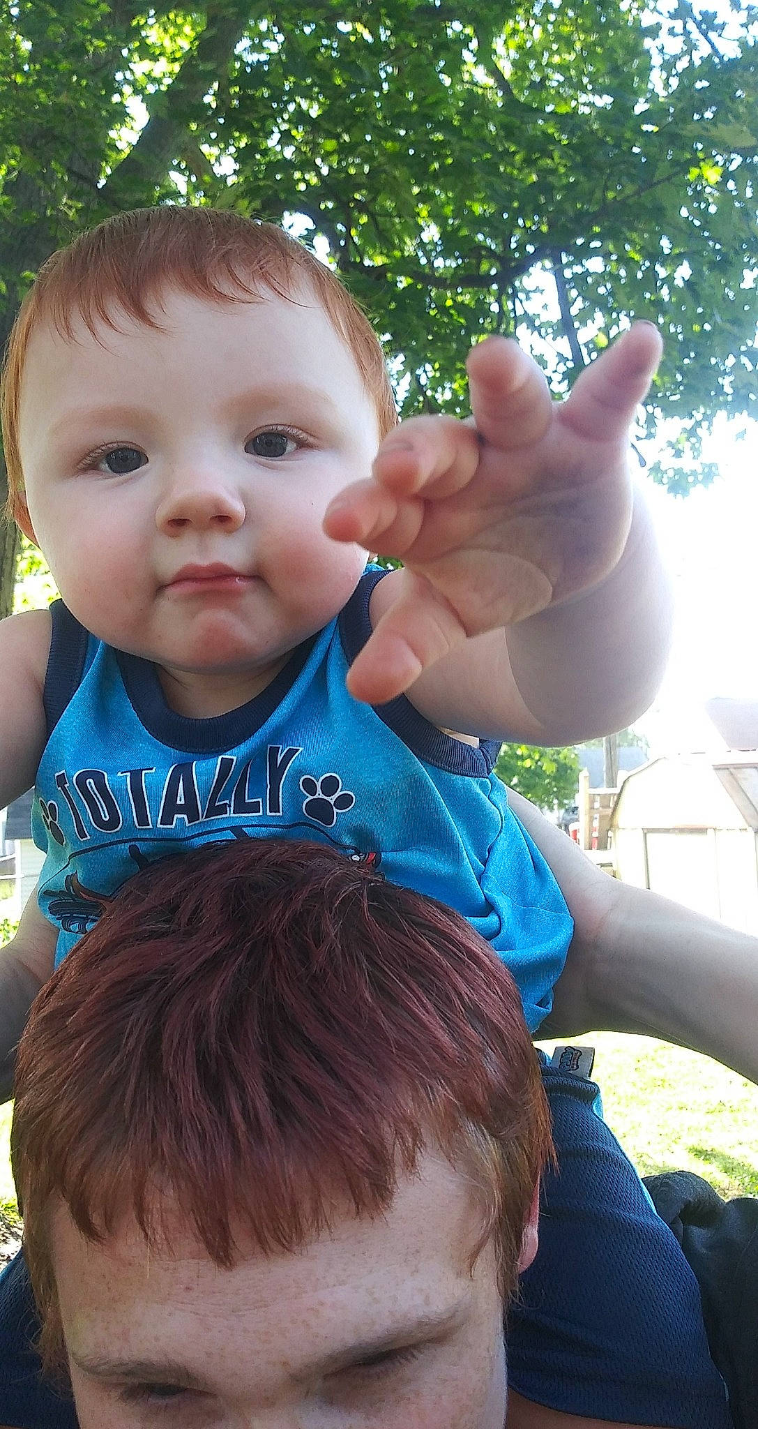 Lukas is registered to the contest to win money with this photo: baby, cheek, child, ear, eye, face, finger, forehead, grass, hair, hairstyle, hand, head, leaf, lip, nose, person, skin, summer, toddler