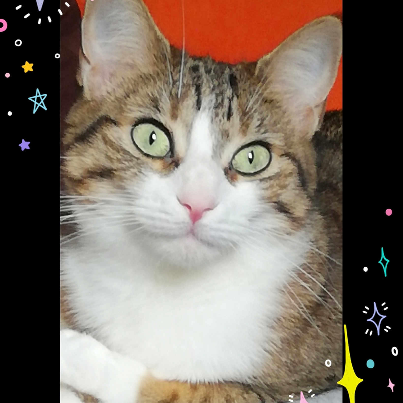 Nina