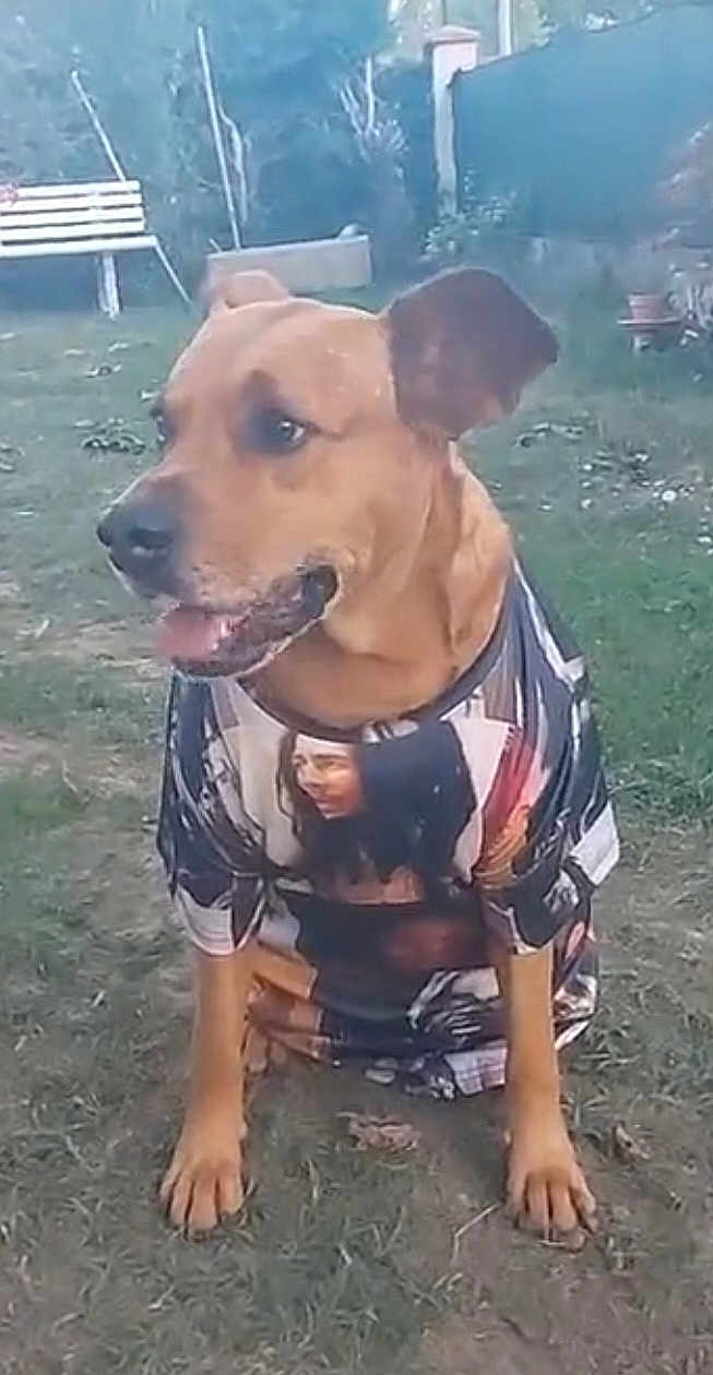 Aka