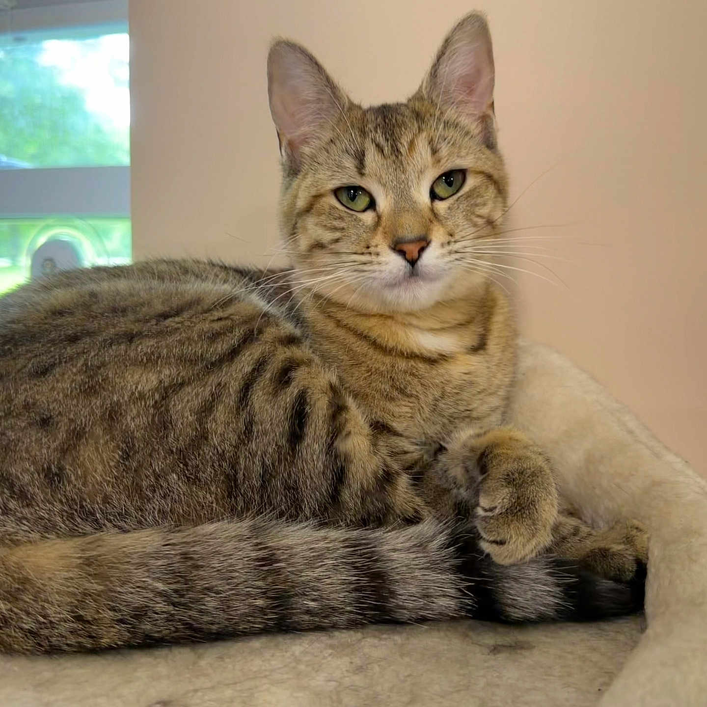 Lucy