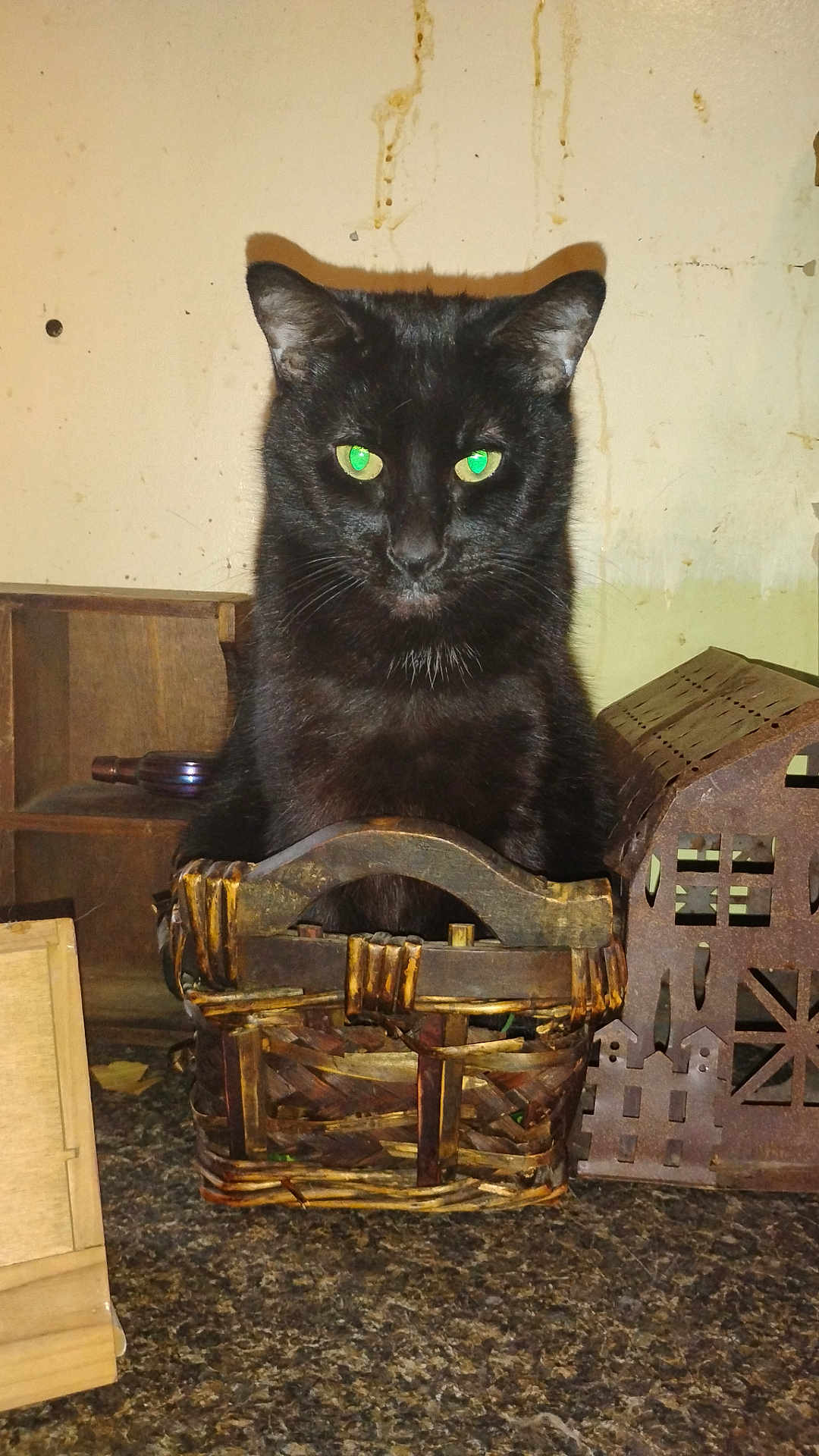 Onyx