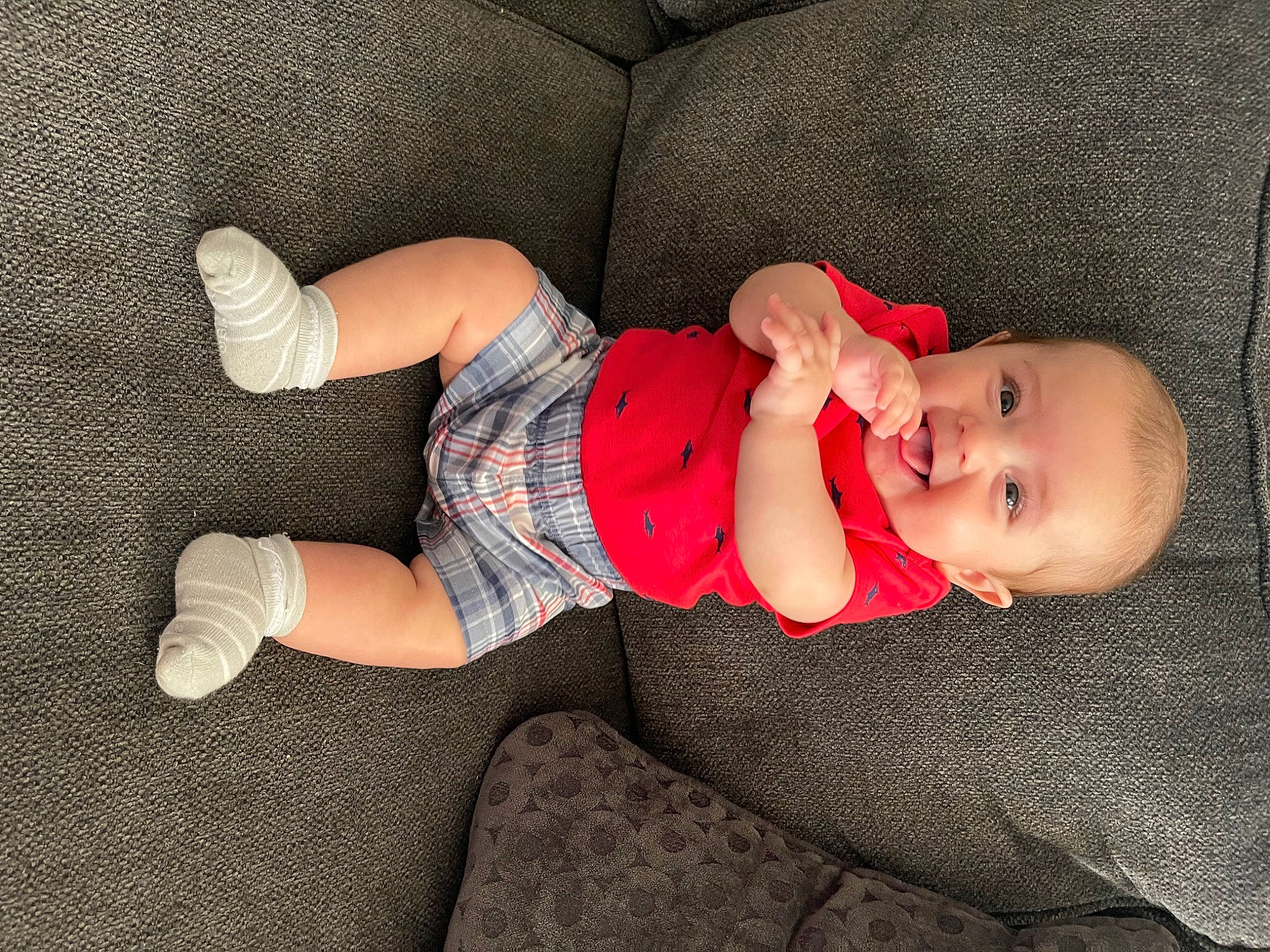 Levi is registered to the contest to win money with this photo: baby, baby_products, baby_toddler_clothing, child, comfort, elbow, finger, foot, human_body, human_leg, knee, lap, leg, pattern, person, sitting, skin, sleeve, smile, sock