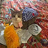 cat, pet, animal, portrait, sitting, indoors, bed, quilt, colorful, fabric, striped_clothing, costume, toy, orange_toy, fluffy, handwritten_tag, blue, white, gray, patterned_background