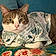 Sushi Roll
