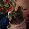 cat, person, hand, face, indoor, cuddle, pet, animal, pillow, floral_pattern, closeup, affection, cozy, home, comfort, love, domestic, feline, casual, intimate