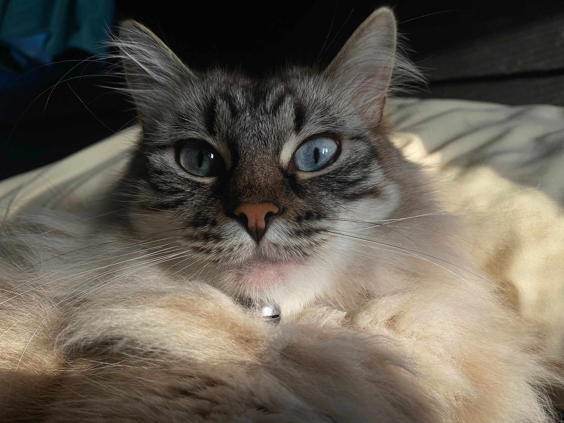 Katie