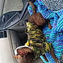 animal, blanket, brown_dog, camouflage_jacket, car_door, car_interior, center_console, cozy, cup_holder, dog, ears, fur, knitted_blanket, napping, paw, pet, resting, seat, sleeping, small_dog