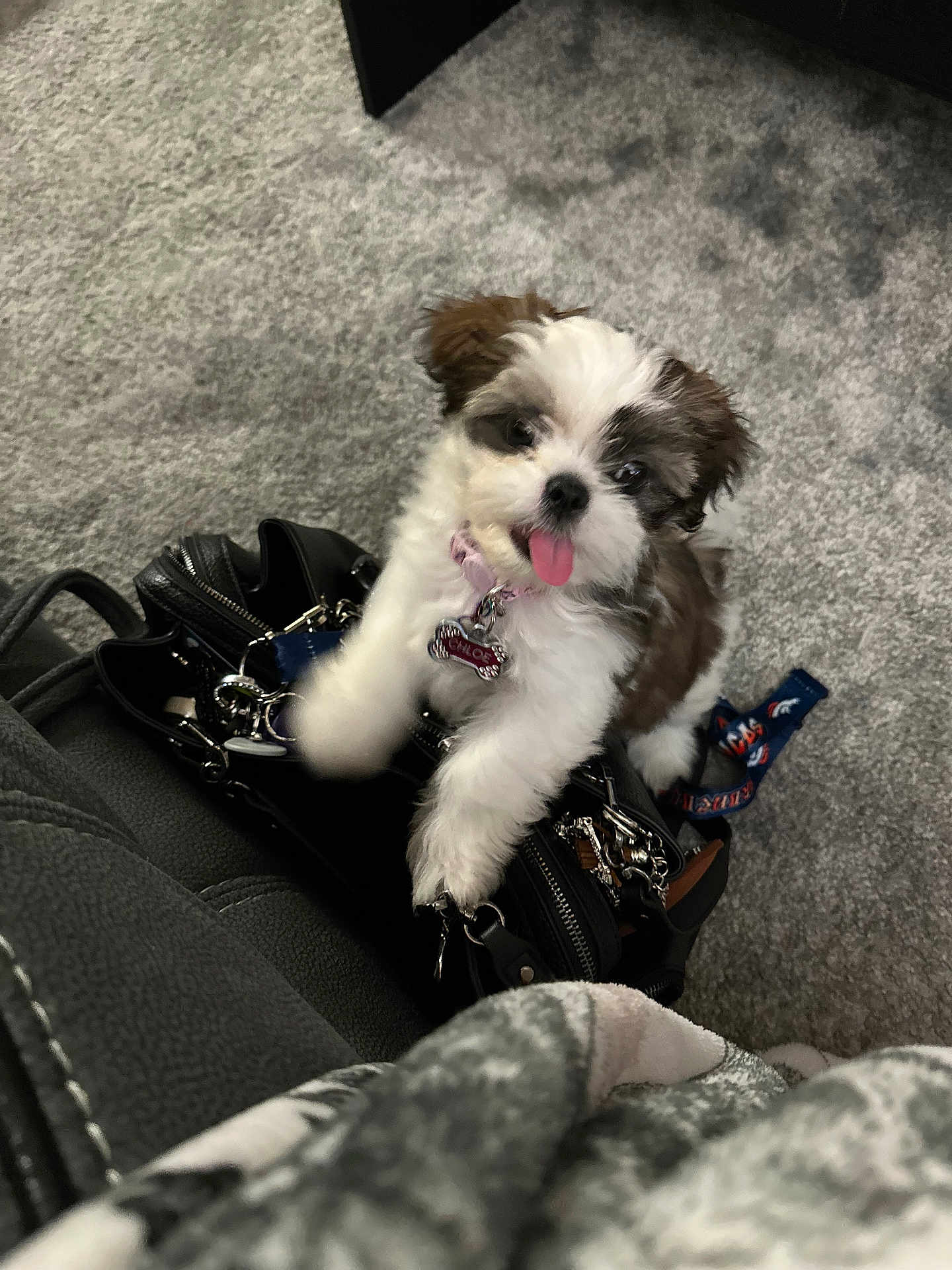 Chloe