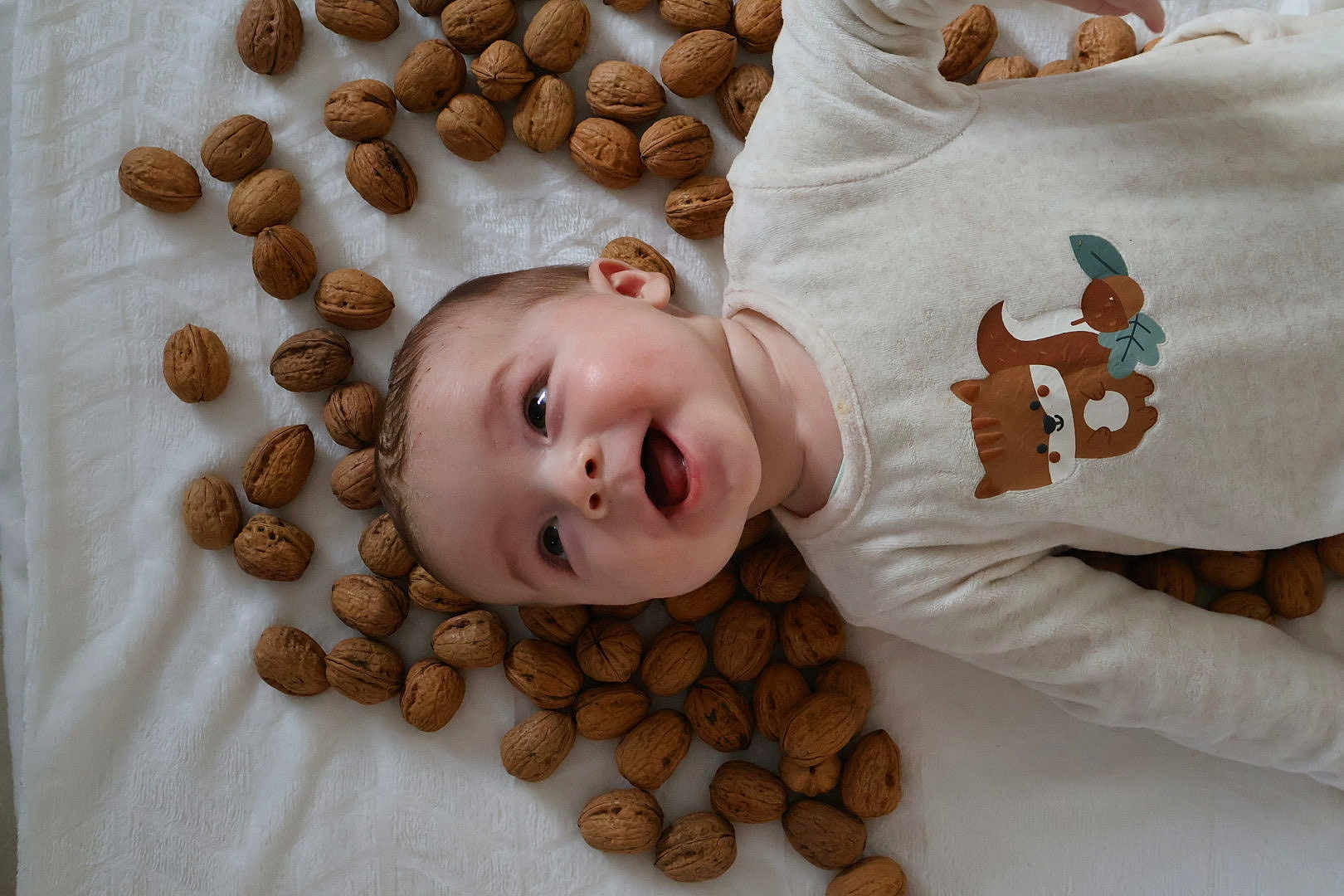 Marceau participe au concours pour gagner de l'argent avec cette photo : baby, infant, smiling, face, expression, lying_down, blanket, walnuts, nuts, food, clothing, cute, animal_graphic, fox, cream_color, happy, child, skin, head, mouth_open