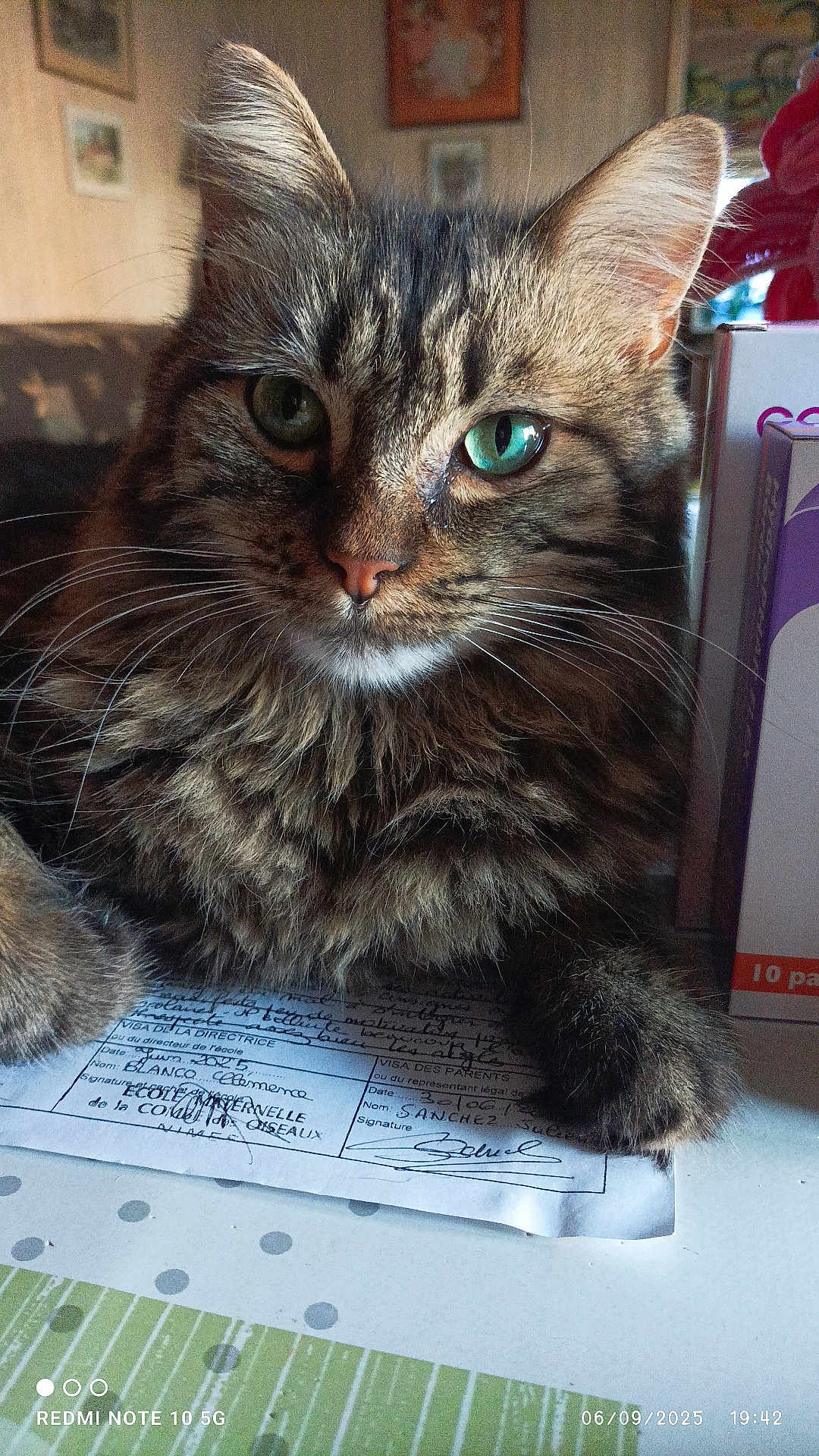 Tigrou