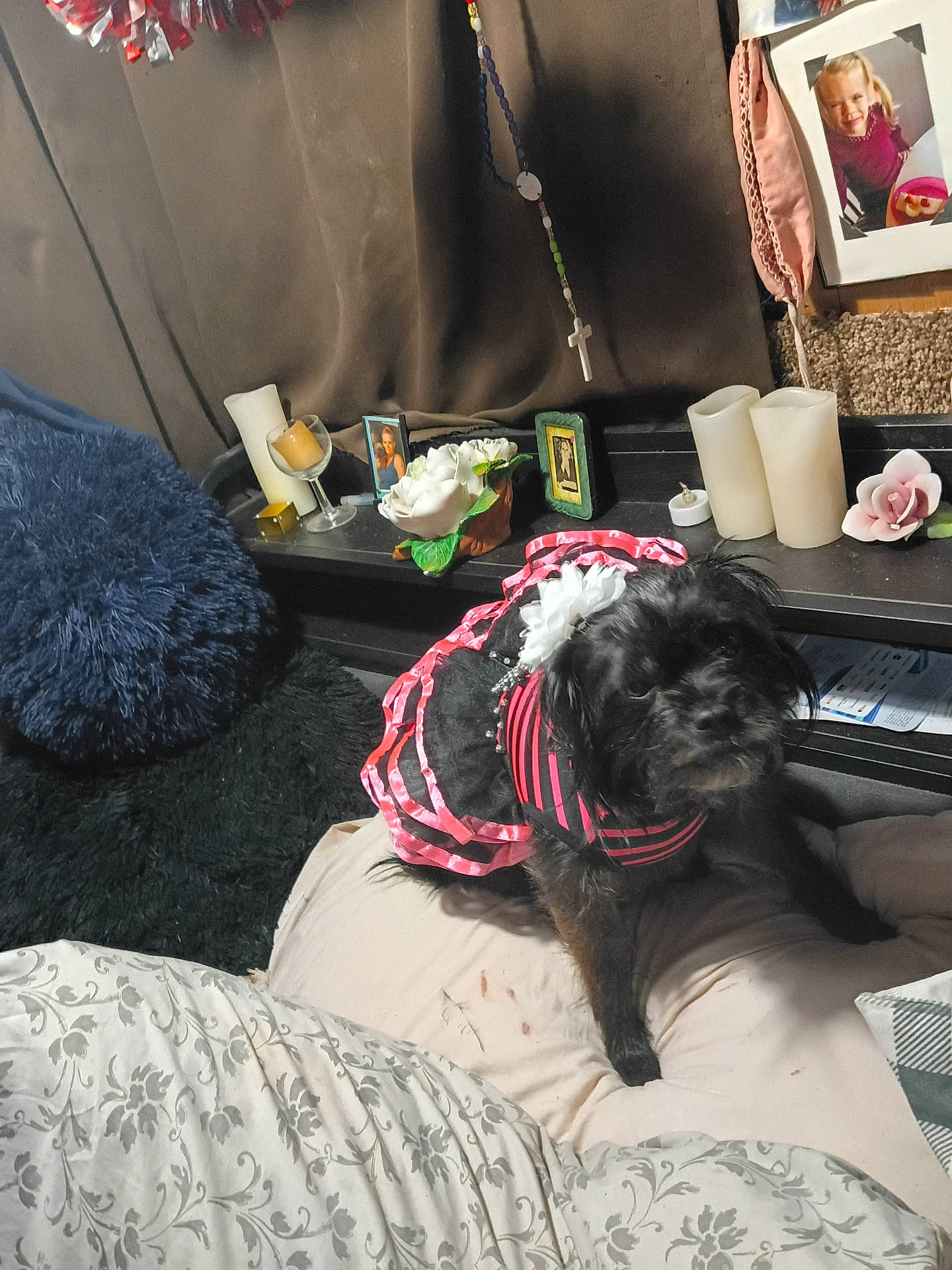 Puppy Girl