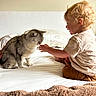 Royal joined the competition — help win amazing prizes! child, toddler, cat, bed, blanket, curly_hair, indoor, white_bedspread, pillow, light, interaction, pet, cute, curiosity, soft_light, animal, person, furniture, cozy, home