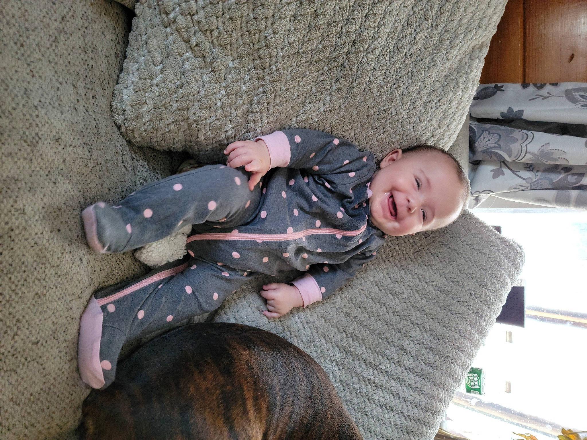 Lacey joined the competition — help win amazing prizes! baby, baby_products, baby_toddler_clothing, child, comfort, companion_dog, dog, dog_breed, flooring, head, joy, lap, linens, nap, person, sitting, smile, toddler, tree, vertebrate