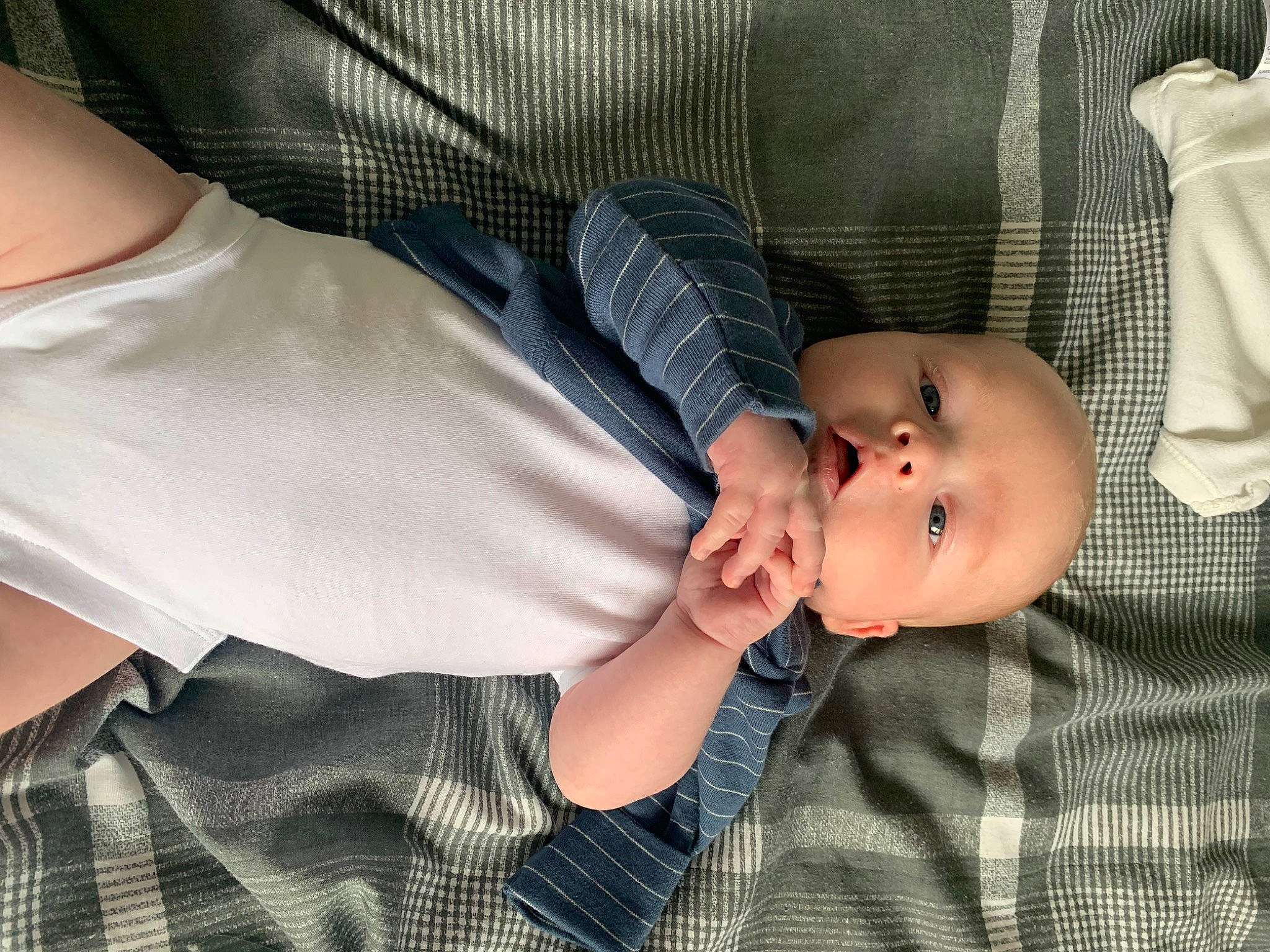 Otis joined the competition — help win amazing prizes! baby, baby_products, baby_toddler_clothing, child, comfort, elbow, finger, gesture, nail, pattern, person, plaid, sitting, sleeve, tartan, thumb, toddler, wrist