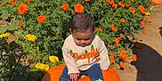 Riley joined the competition — help win amazing prizes! toddler, pumpkin, flowers, marigolds, orange, yellow, sweater, jeans, shoes, outdoor, field, plants, sunlight, shadow, nature, child, autumn, garden, greenery, blue_sky