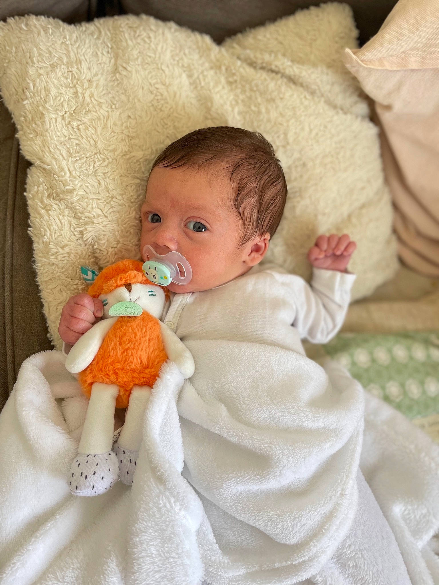 Raphaël participe au concours pour gagner de l'argent avec cette photo : baby, baby_sleeping, baby_toddler_clothing, cheek, comfort, doll, dress, eye, face, finger, hand, head, headgear, iris, linens, lip, person, skin, textile, toddler