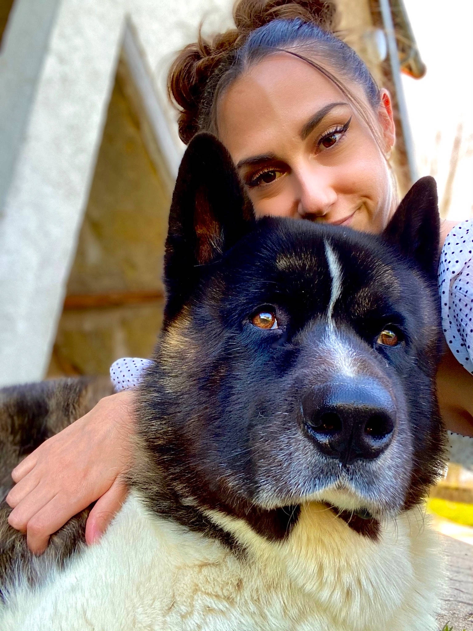 Nasko a rejoint le concours — aidez-le/la à gagner de superbes lots ! canidae, carnivore, companion_dog, dog, dog_breed, electric_blue, fawn, fur, german_shepherd_dog, giant_dog_breed, happy, herding_dog, jaw, organ, smile, snout, sporting_group, whiskers, working_animal, working_dog