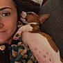 Aïko a rejoint le concours — aidez-le/la à gagner de superbes lots ! person, dog, puppy, sleeping, couch, blanket, indoor, closeup, relaxing, cute, cozy, nap, brown, white, spots, face, ear, paw, comfort, rest